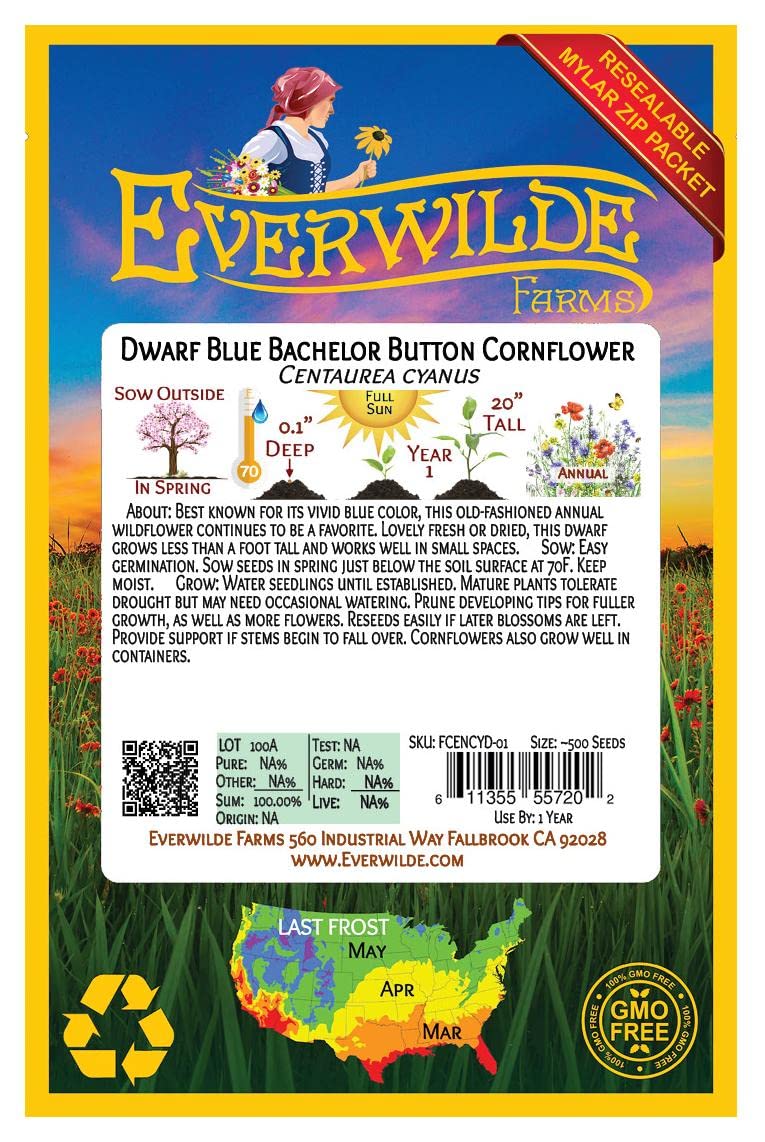 500 Dwarf Blue Cornflower Wildflower Seeds - Premium Non-GMO Garden Seeds for Pollinator Gardens, Landscaping & Cut Flowers - Everwilde Farms Gold Vault Jumbo Seed Packet