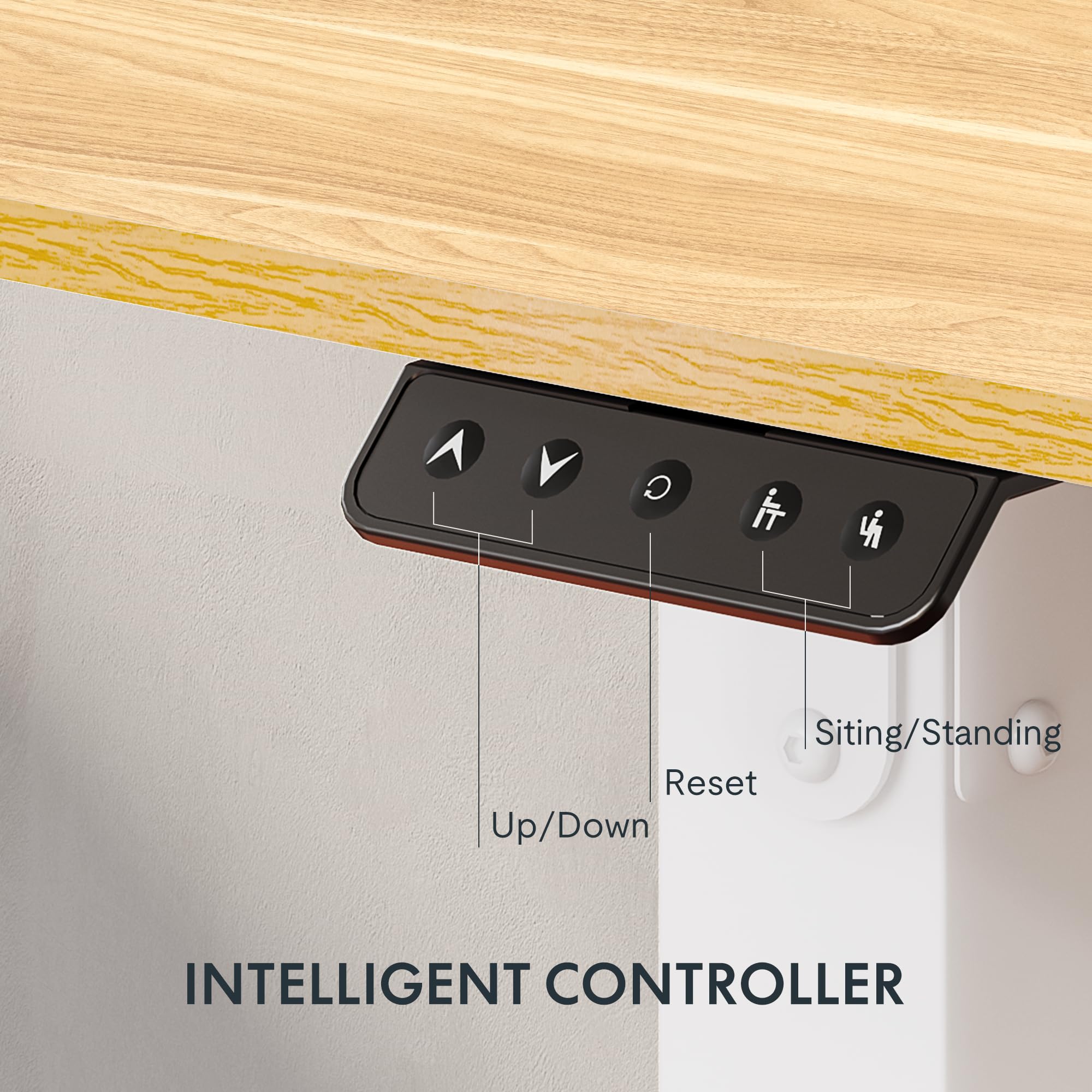 Flexispot Dual Motor Electric Standing Desk 55