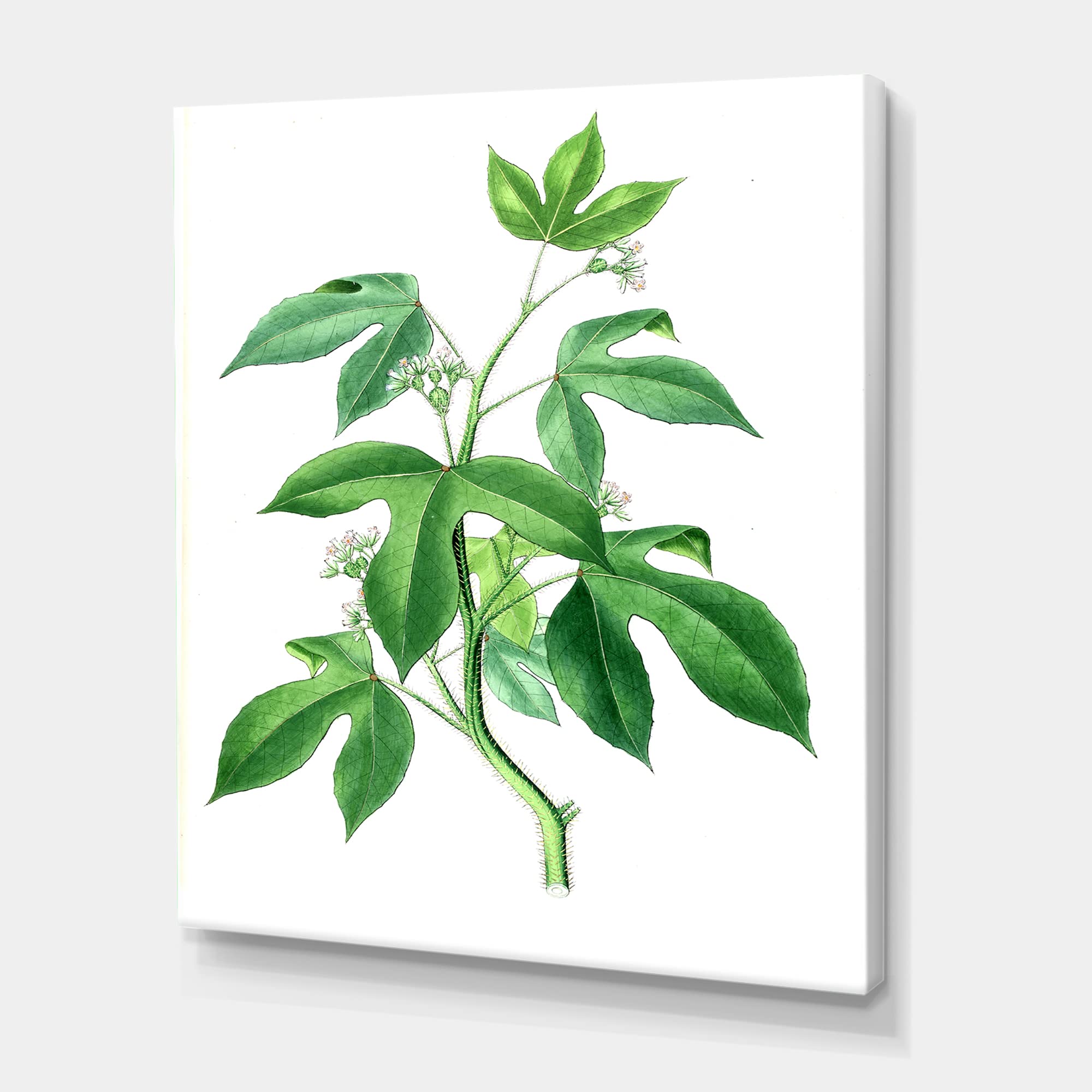 Vintage Green Leaves Botanical Canvas Wall Art - Traditional Plant Painting for Living Room, Bedroom & Office Decor