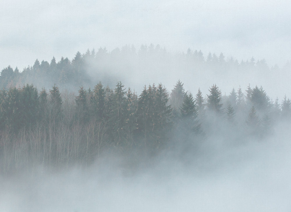 Misty Forest Design Wall Tapestry - Nature-Inspired Home Decor for Bedroom, Living Room & Dorm