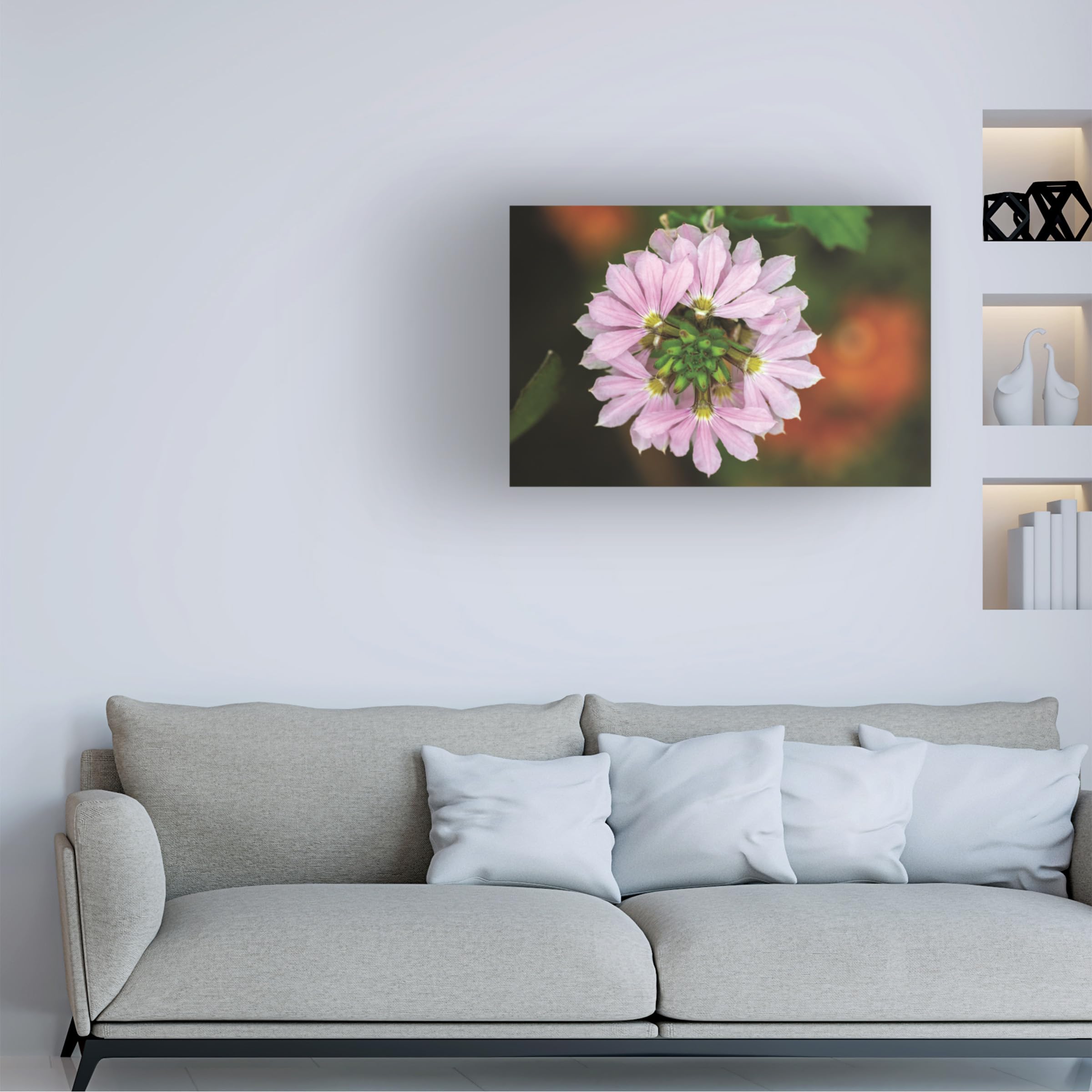 Kurt Shaffer Pink Fan Flower Canvas Art Print - Stunning Floral Photography for Home & Office Decor - Perfect for Living Room, Bedroom, or Gift