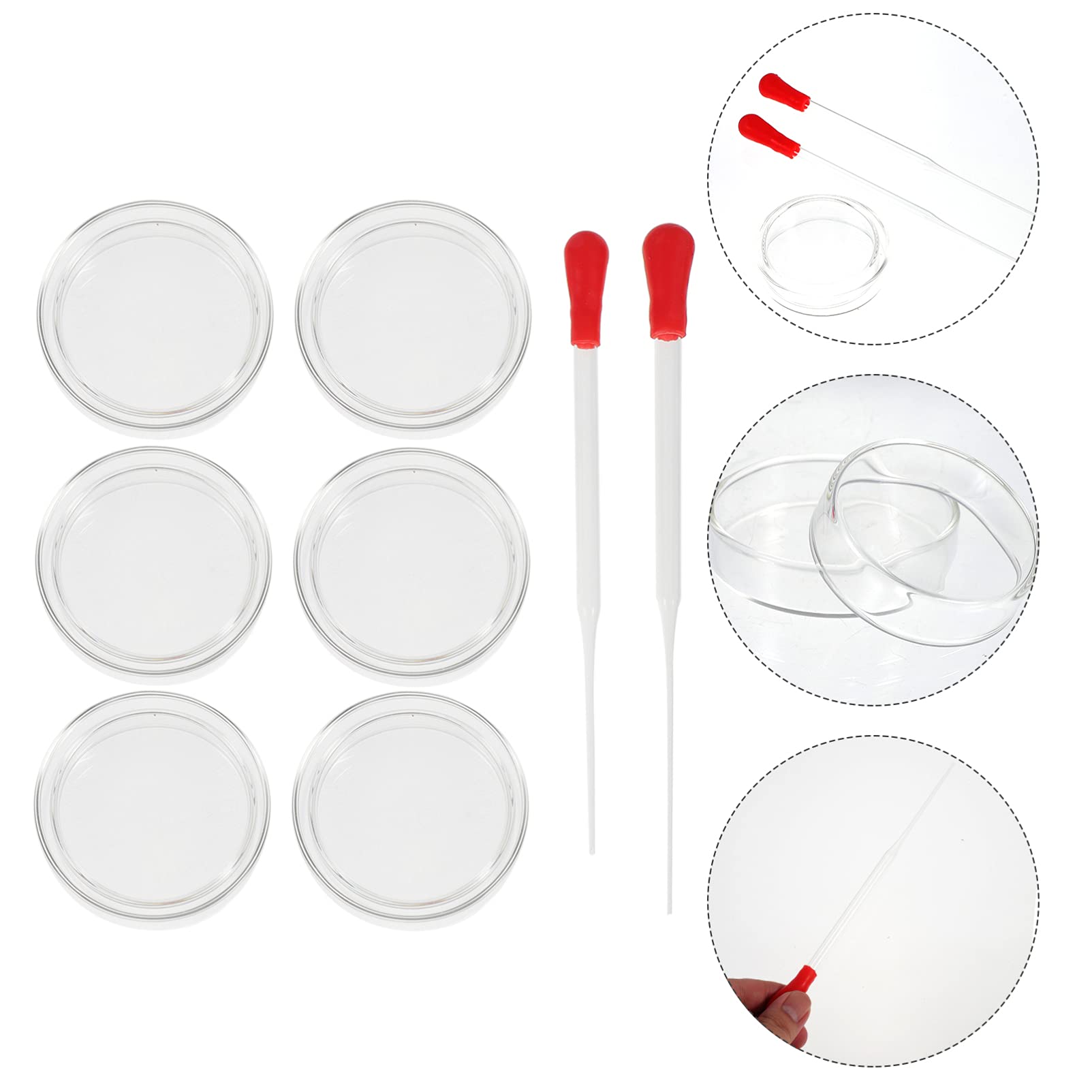 6pcs Petri Dish Set with Pipette for Lab Culture & Experiments