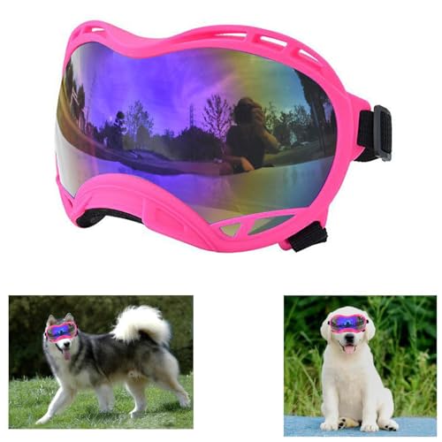 Pink Frame & Bule Lens/Small