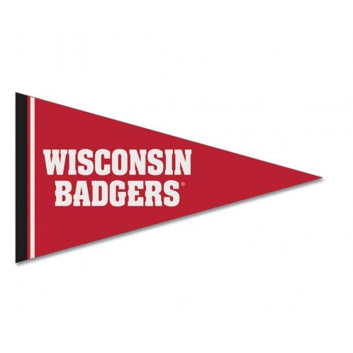 NCAA Felt Pennant Magnet - Perfect for Game Day Decor