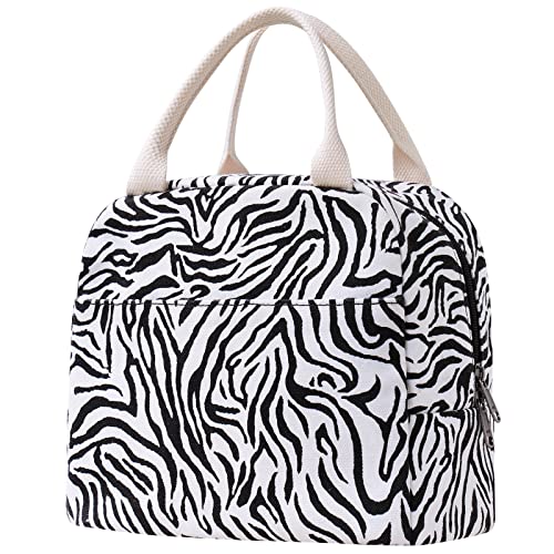 Zebra01
