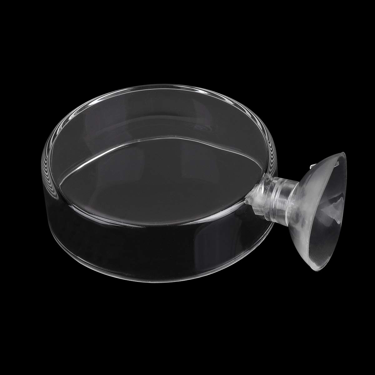 Premium Clear Aquarium Glass Feeder Dish - 65mm Round Shrimp Food Tray with Suction Cup to Prevent Fish Tank Food Spreading | Ideal for Feeding Shrimp, Bettas & Small Fish in Freshwater & Saltwater Tanks