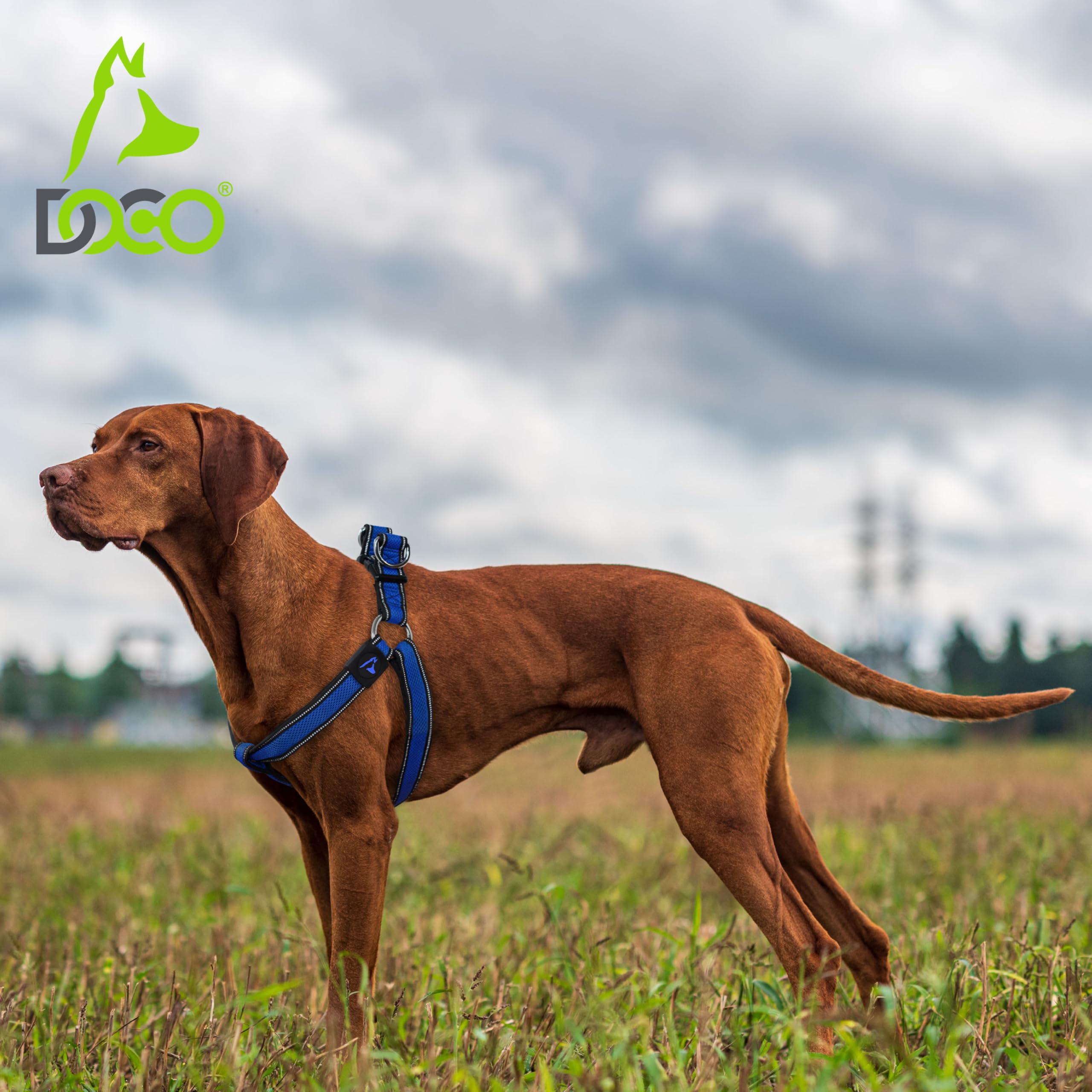 Athletica Air Mesh Step-in Dog Harness - Lightweight & Breathable Pet Vest for Small to Medium Dogs - Perfect for Walking, Running & Outdoor Adventures