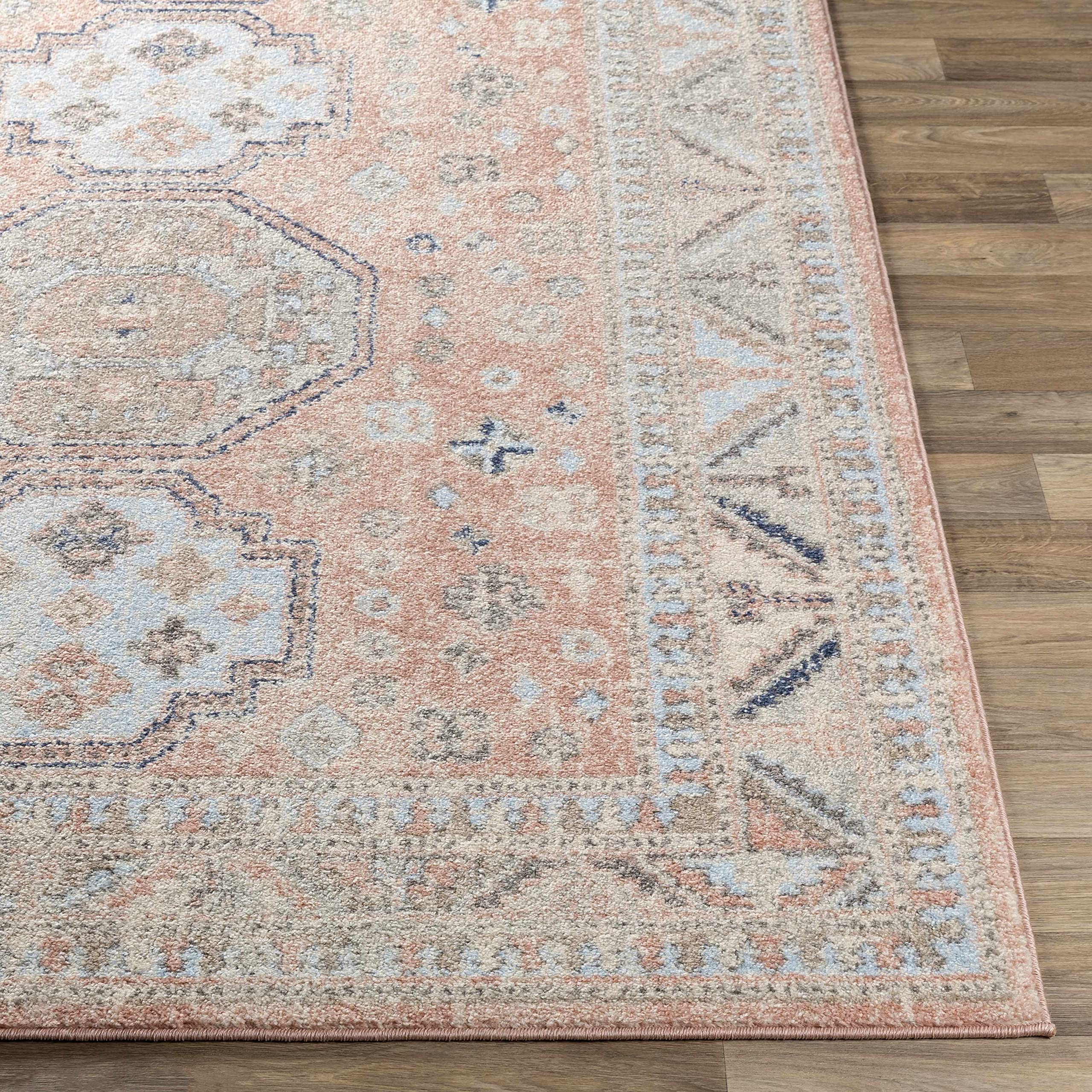Hauteloom Mantador Traditional Gray Beige Blue Area Rug 7'10