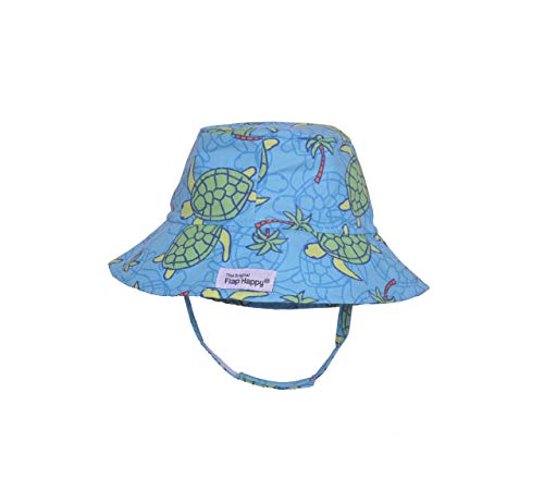 Turtle Island