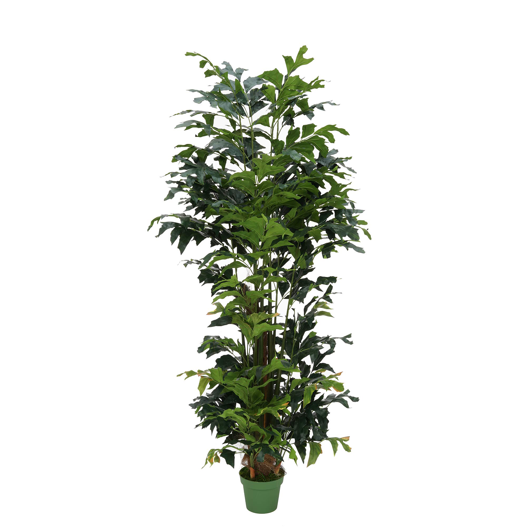 7ft Artificial Fishtail Palm Tree in Seagrass Planter - Grey Wash Indoor/Outdoor Decor for Home, Office, Patio & Garden