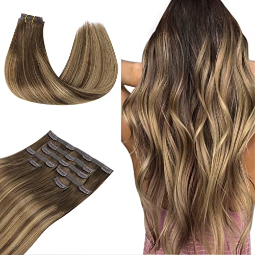 #4/27/4 Balayage Chocolate Brown to Caramel Blonde