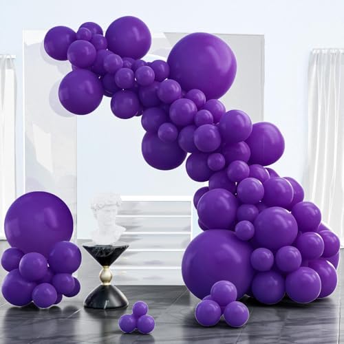 Royal Purple-y16