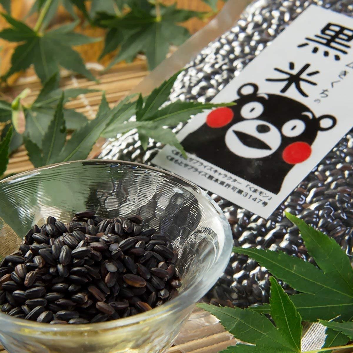 Organic Kuromai Japanese Black Rice 450g - Premium Glutinous Rice for Sushi, Rice Balls & Healthy Meals - Authentic Asian Pantry Staple