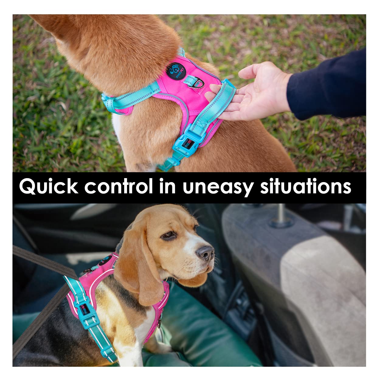 PHOEPET No Pull Dog Harness - Reflective Adjustable Pet Vest with Soft Training Handle & Metal Clips for Small Medium Large Dogs (Pink/Green, XS) | Perfect for Walking, Training & Nighttime Safety