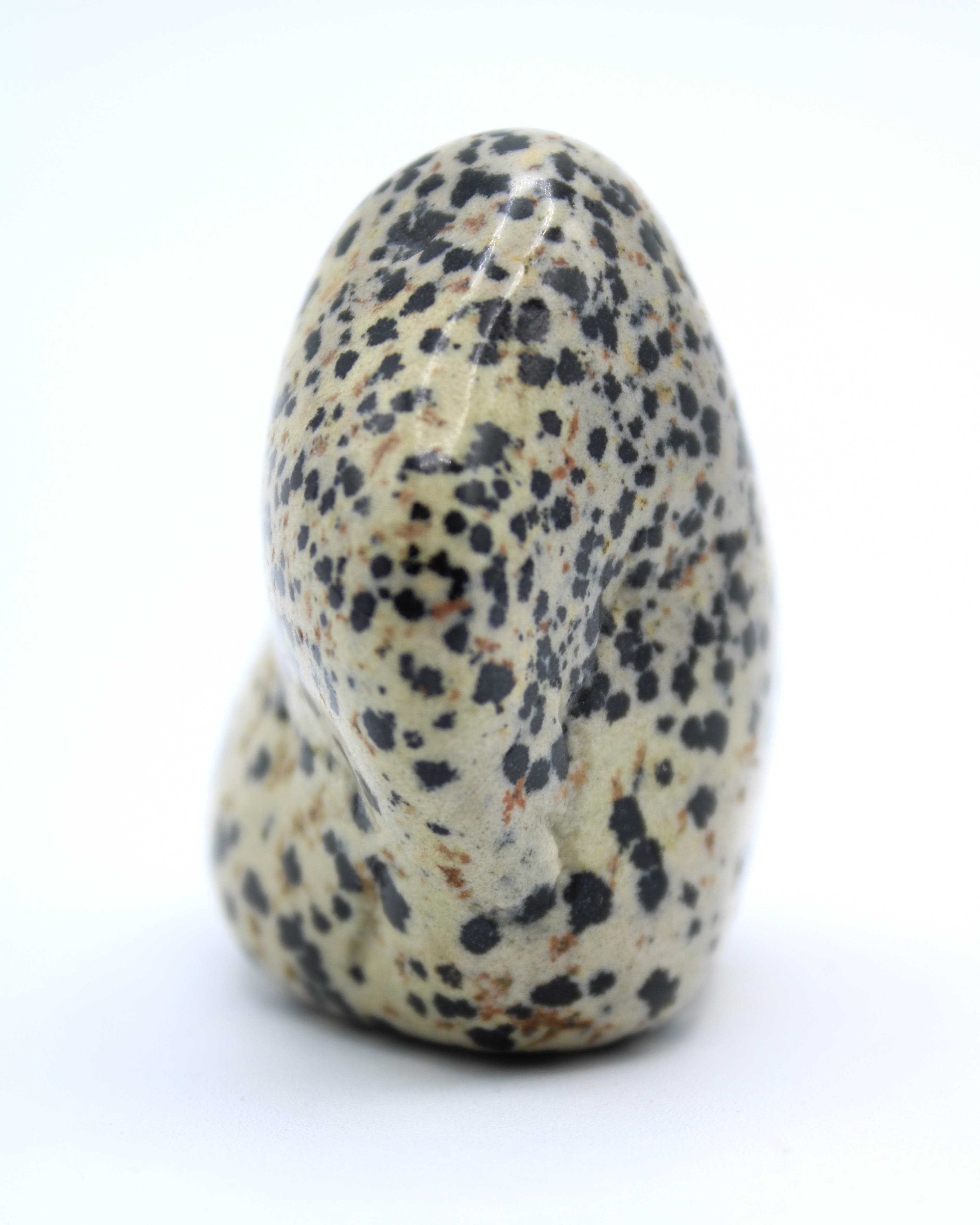 Natural Dalmatian Jasper Free Form Stone - Healing Crystal for Meditation, Home Decor & Spiritual Gifts | Perfect for Yoga, Reiki & Positive Energy