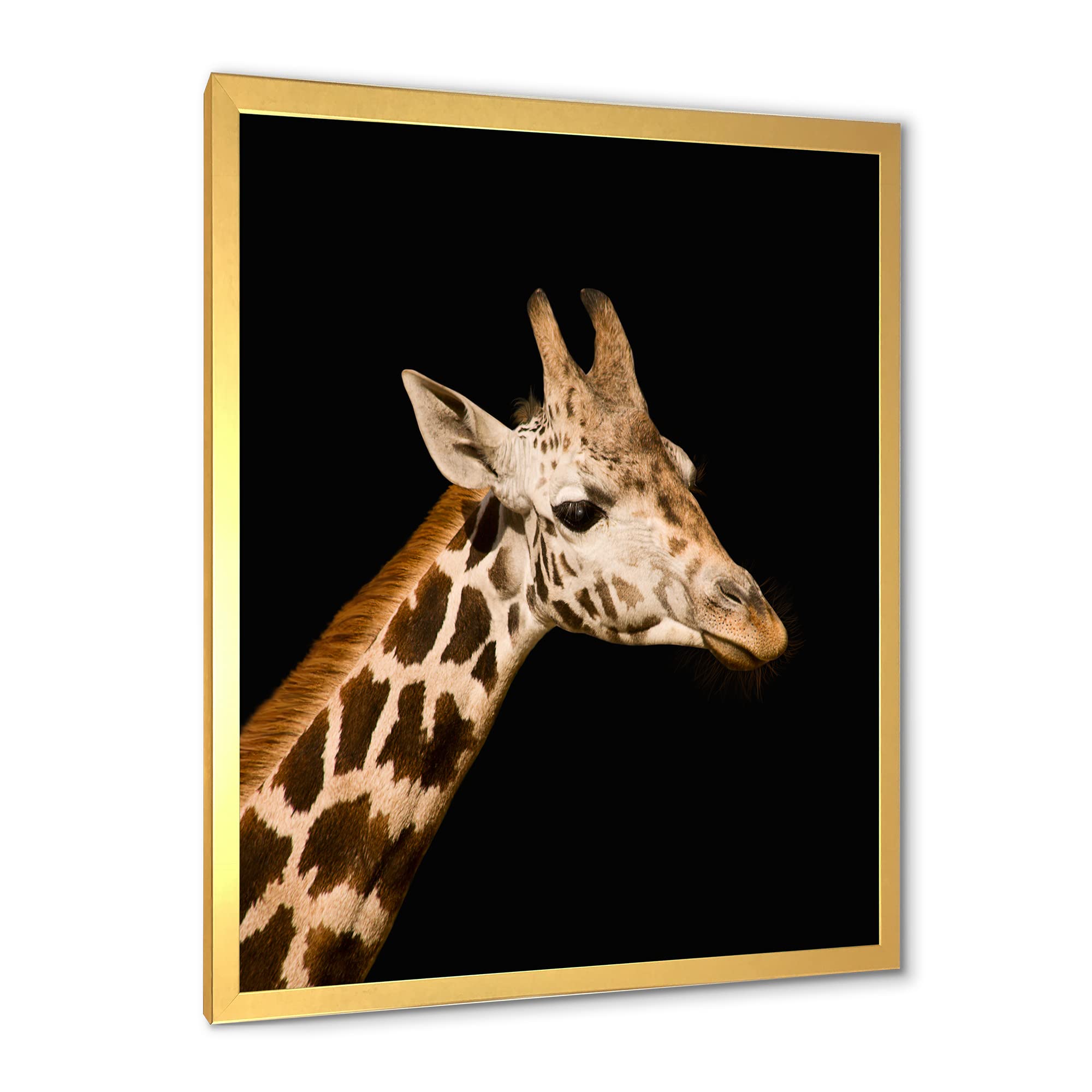 DesignQ Close-Up Portrait of a Giraffe IV - Farmhouse Framed Wall Art Decor for Living Room, Bedroom & Office - Rustic Animal Photography Print for Home & Office Decoration