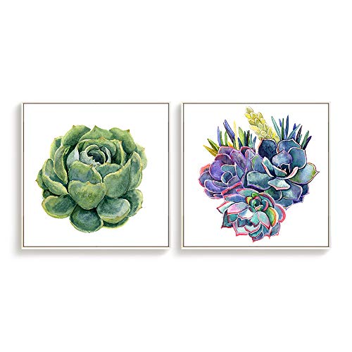 Cactus-s07