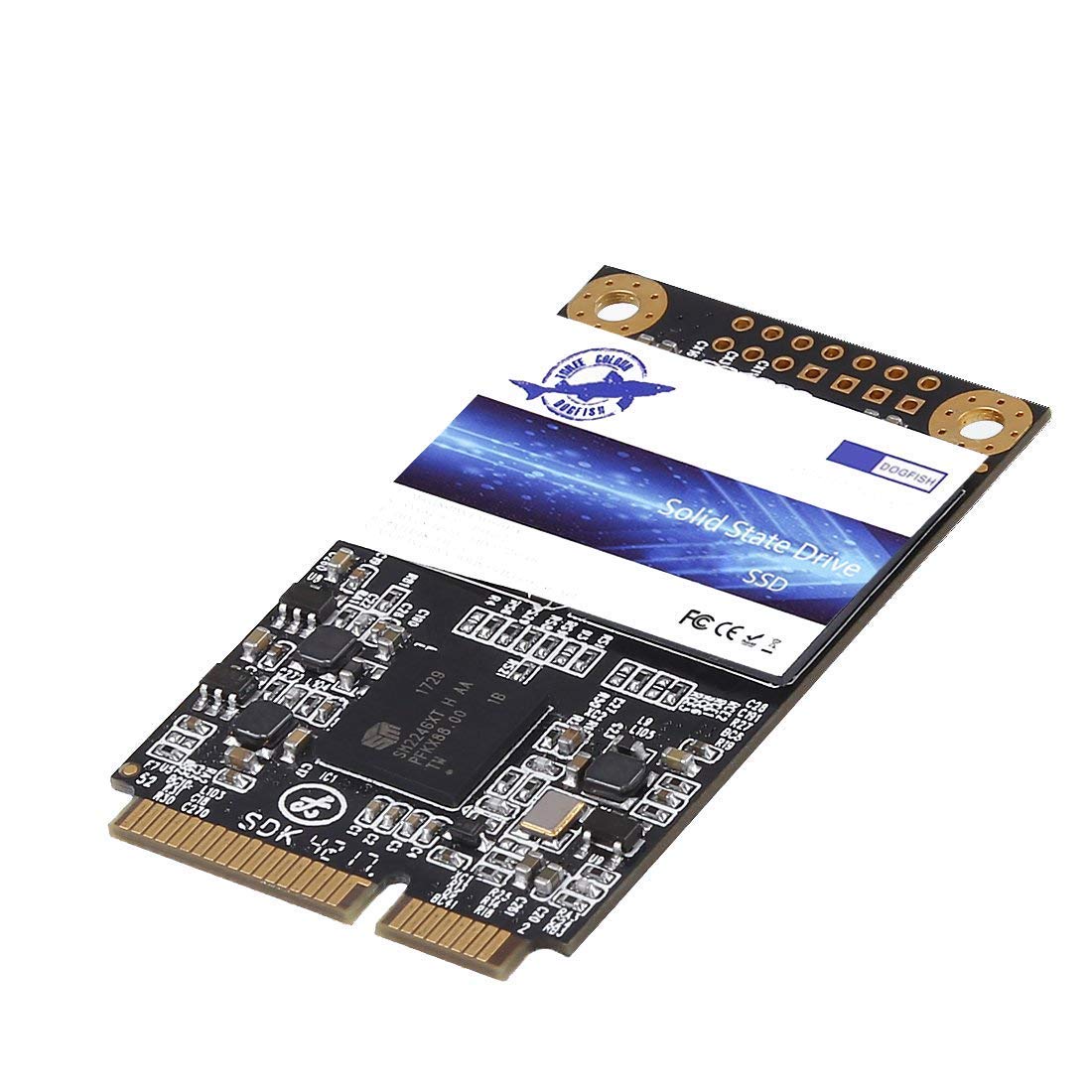 Dogfish 2TB mSATA SSD - High-Speed Internal Mini SATA Solid State Drive for Laptop & Desktop Computers | Fast Boot & Gaming Storage | Ideal for Upgrading Old PCs, Gaming Rigs & Workstations