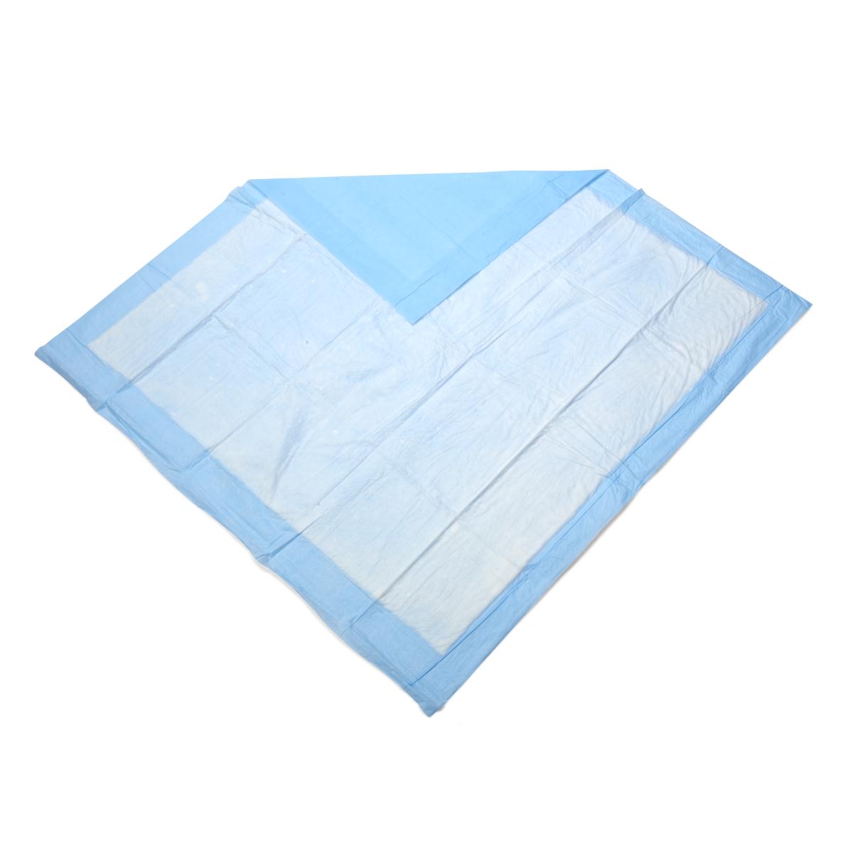 Protection Plus Economy Underpad, 30x30 Inches - Waterproof Bed Pad for Incontinence, Pets & Kids - Ideal for Home, Hospital & Travel Use