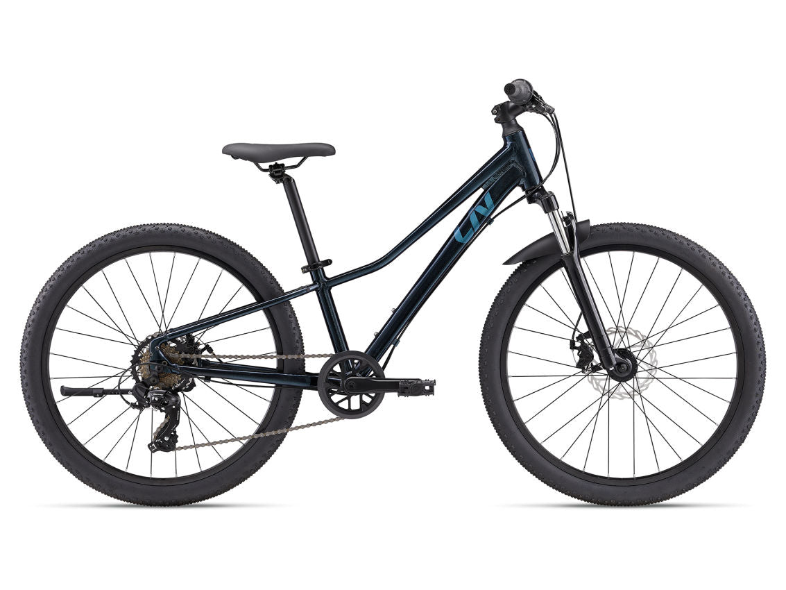 Giant Tempt 24 Disc Mountain Bike - One Size Adjustable for Adults - Starry Night Design - Perfect for Trail Riding & Commuting