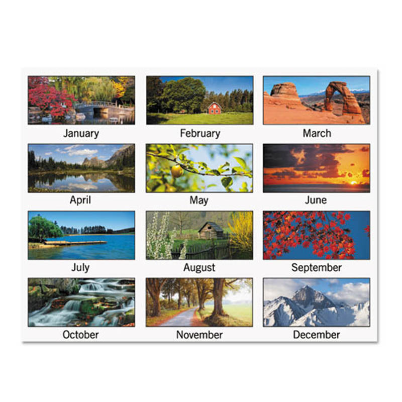 Scenic Three-Month Wall Calendar 12.25