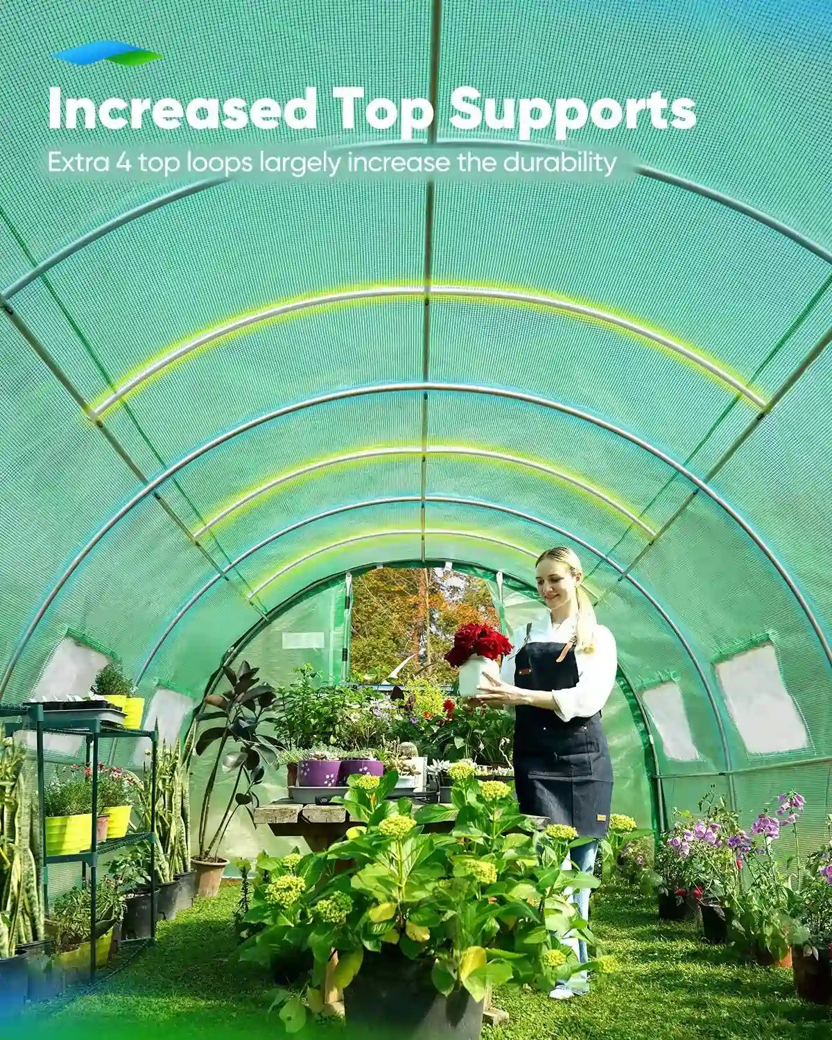 20' x 10' x 6.6' Large Walk-in Greenhouse with Upgraded Frame - Durable Outdoor Plant Growing Tent for Vegetables, Flowers & Herbs - Perfect for Backyard Gardening & Year-Round Planting