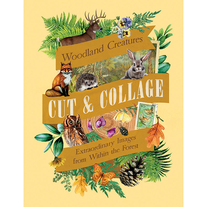 Woodland Creatures Cut and Collage Kit - DIY Animal Scrapbooking Supplies for Kids & Adults - Perfect for Scrapbooking, Card Making, and Home Decor