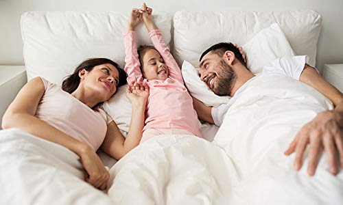 800 TC Egyptian Cotton Bed Sheets Set - 4 Piece Soft & Washable for 15