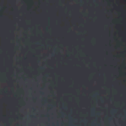 Ebony