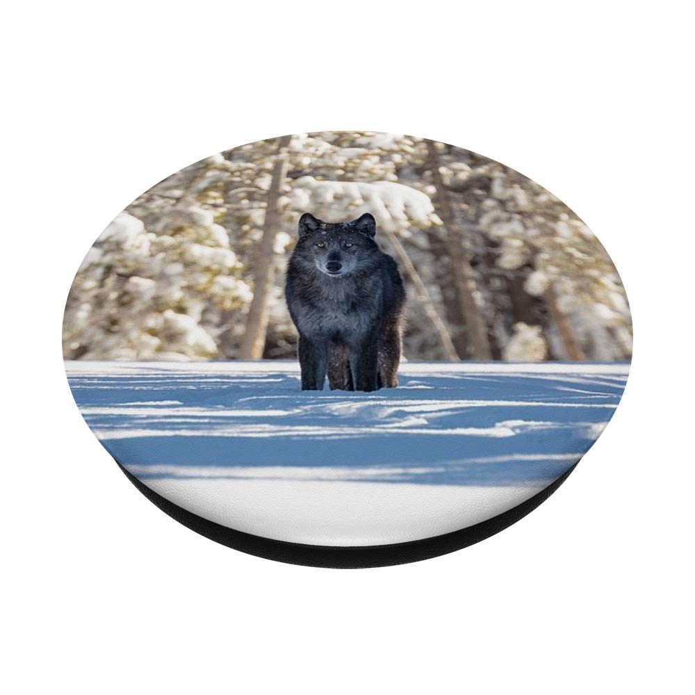 Wolf Lover Gifts - Unique Wolf Themed Presents for Men & Women - Perfect for Birthday, Christmas & Outdoor Enthusiasts