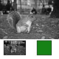 77mm Hoya X0 Yellow Green Glass Filter for Photography - Enhance Colors & Reduce Glare in Landscape & Nature Shots