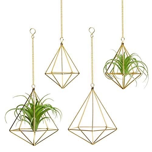 Short-gold