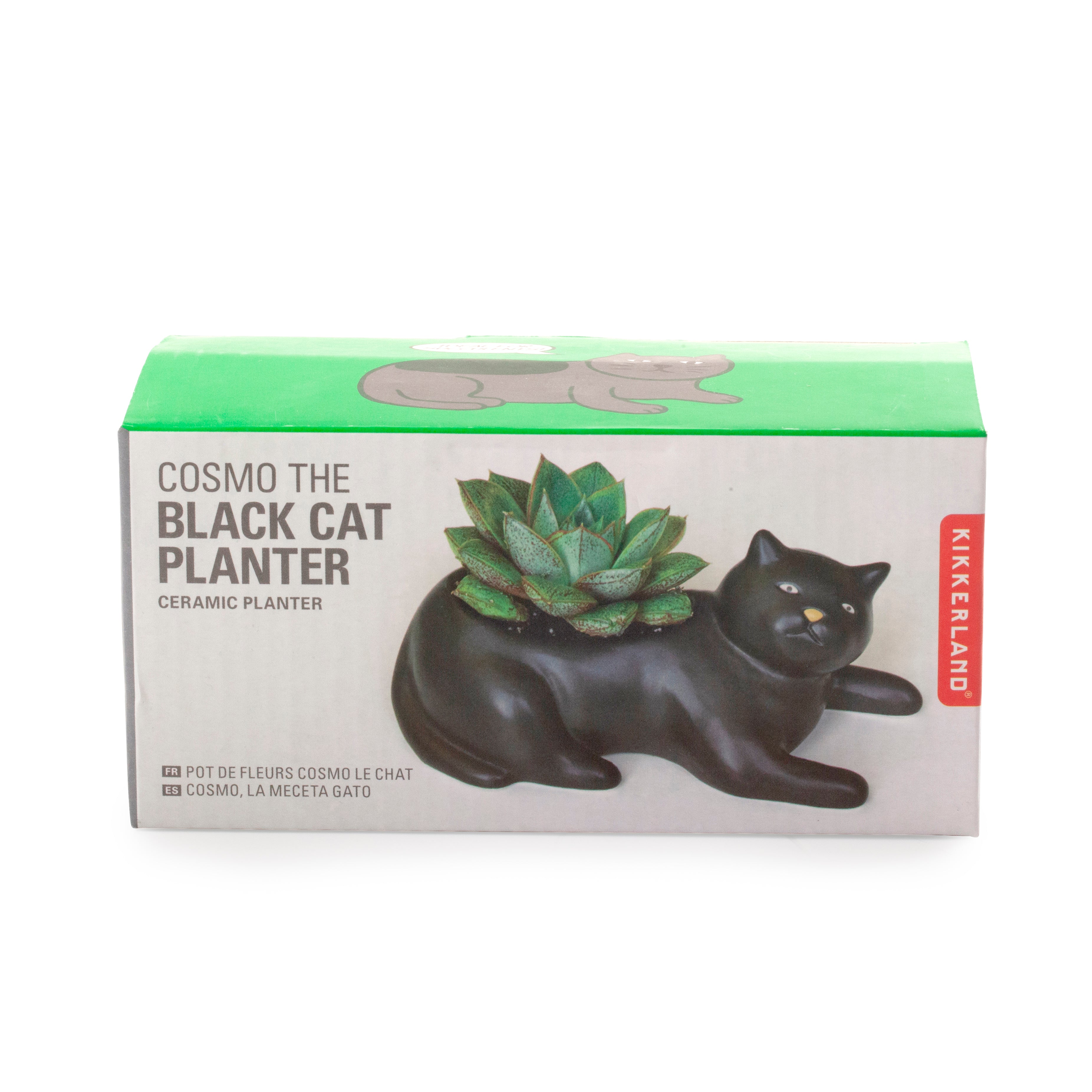 Cosmo the Black Cat Planter - Handmade Ceramic Flower Pot for Succulents & Small Plants - Perfect for Home Decor, Office Desk & Gift Ideas