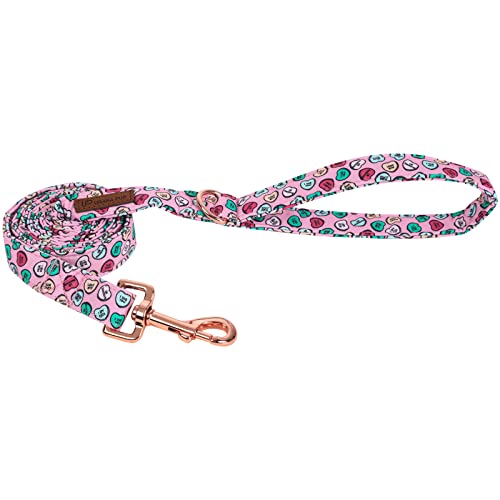 Colorful Hearts（Dog Leash)