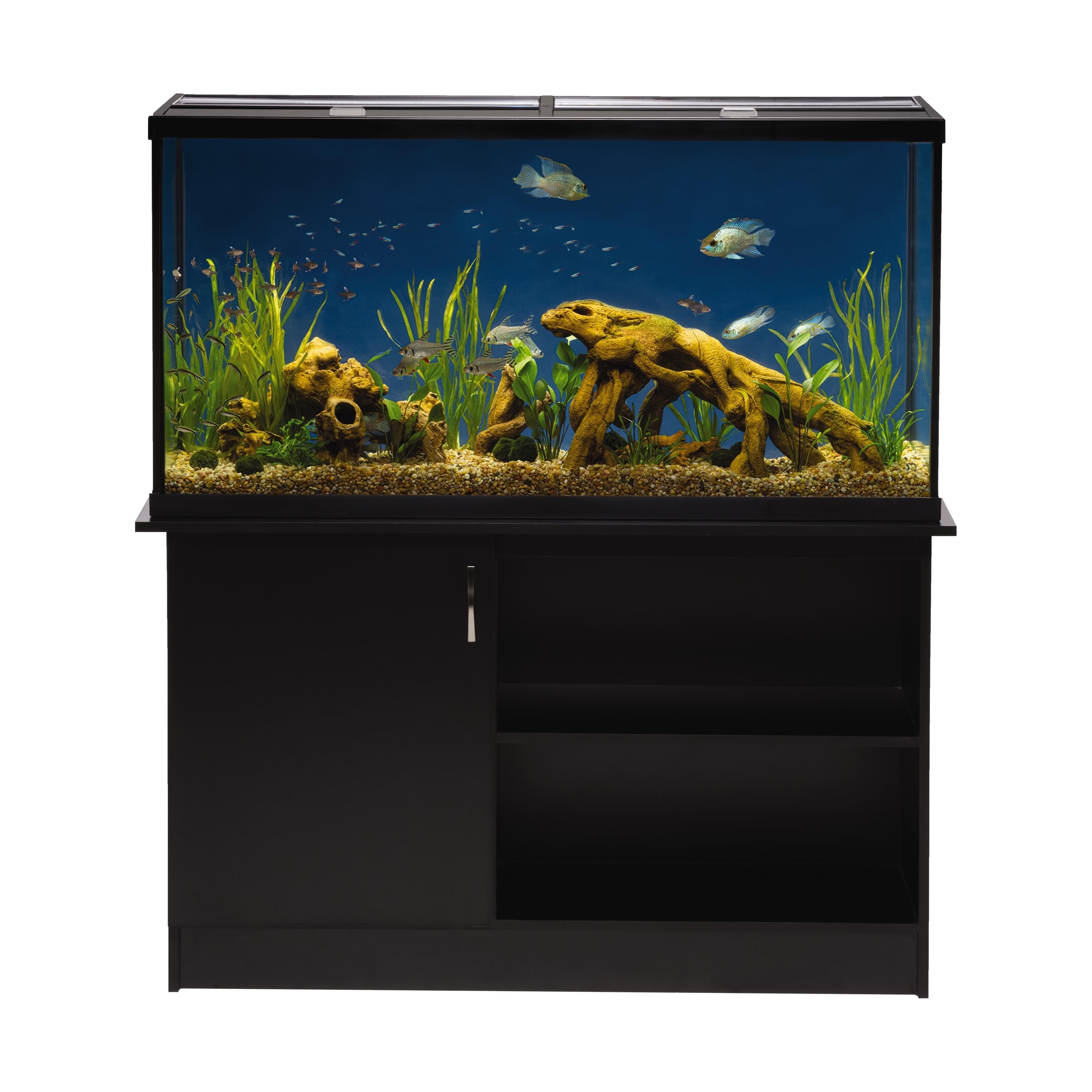 Marineland 60 Gallon High Definition LED Aquarium Kit - 48x13x25 Inches for Freshwater & Saltwater Fish Tanks | Perfect for Home, Office or Classroom Aquatic Displays