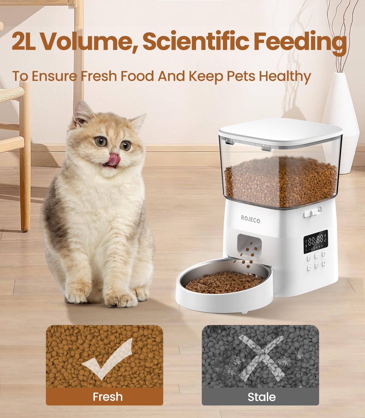 Automatic Cat Feeder with Timer - 8 Cup Capacity Smart Pet Food Dispenser for Portion Control | Easy Setup Indoor Cat Feeder with Stainless Steel Bowl | Perfect for Busy Pet Owners & Multi-Cat Households
