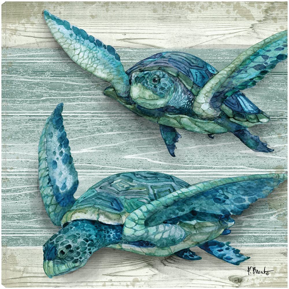 Northpoint Sealife VI Canvas Wall Art by Paul Brent - 22x22 Inch Ready to Hang Fine Art Print for Living Room, Bedroom, Office Decor - Coastal & Nautical Theme Home Décor Perfect for Beach Houses & Seaside Interiors