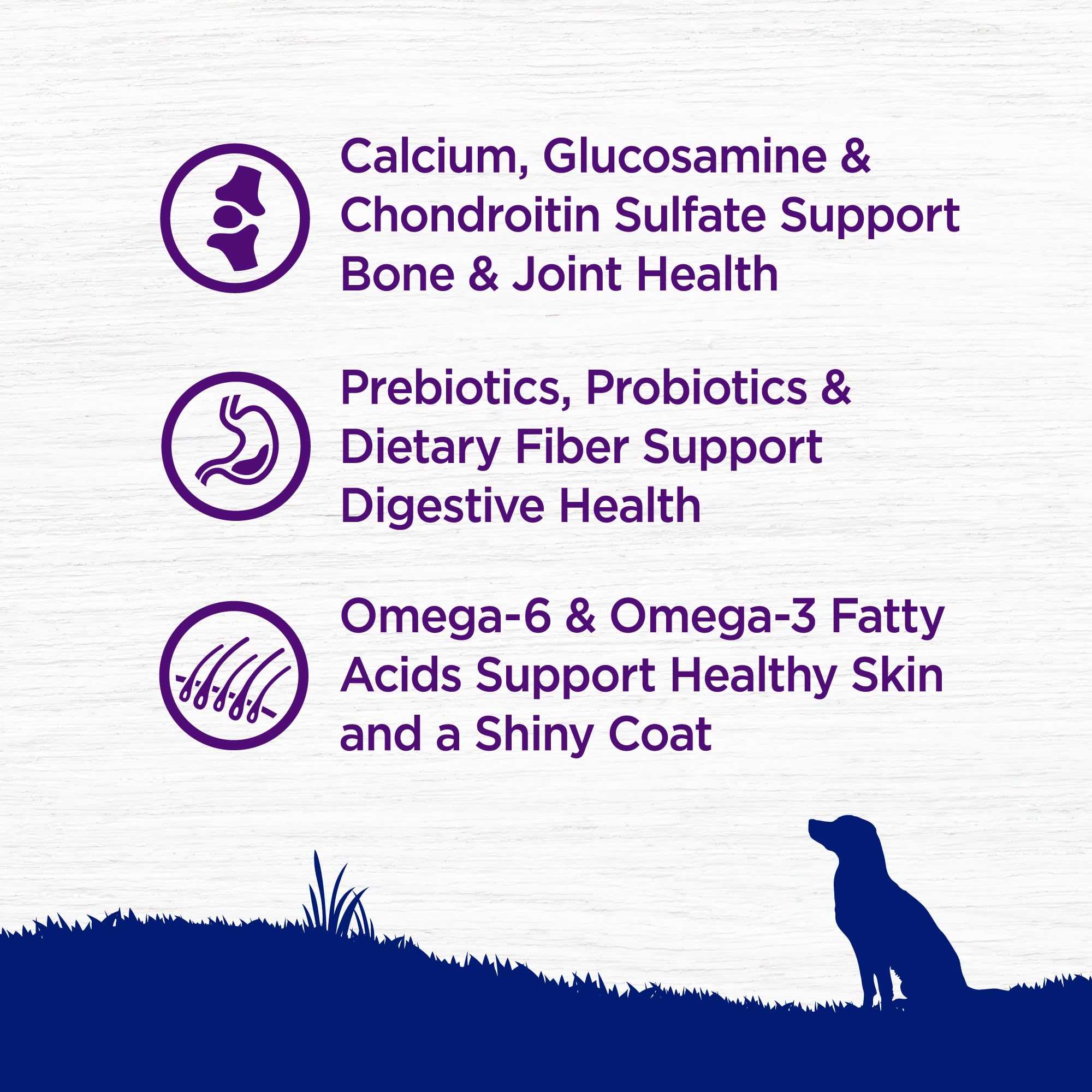 Wellness Complete Health Natural Dry Dog Food for Large Breeds - Chicken & Brown Rice Recipe with Wholesome Grains (30 lb Bag) | High Protein Adult Dog Food for Joint Health & Digestion | Perfect for Active Dogs & Daily Nutrition