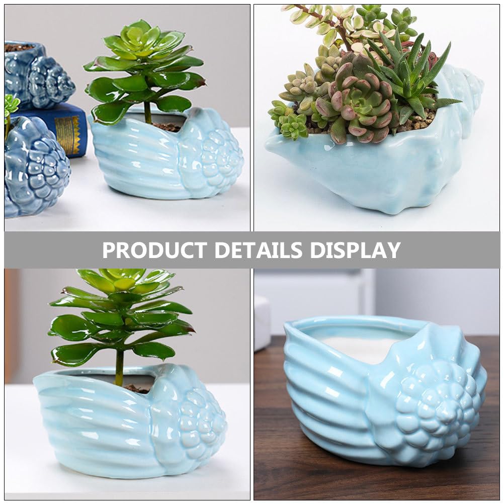 Mediterranean Style Ceramic Conch Planter - Shell Shaped Flower Pot for Bonsai, Succulents & Hydroponic Plants | Perfect for Home, Office & Garden Decor | Desktop Plant Container with Drainage Hole
