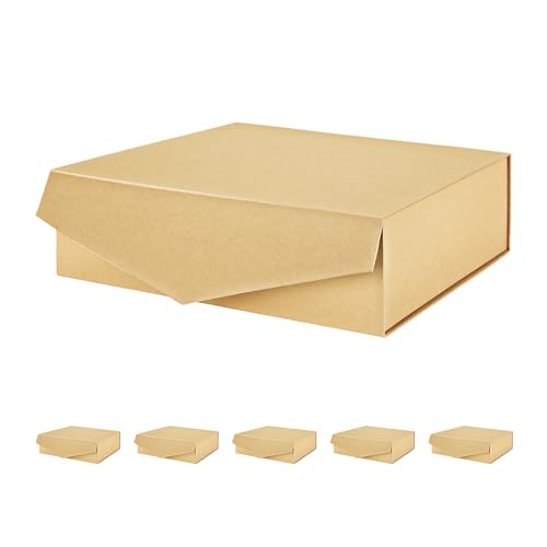 13.5x9x4.1 Inch-Kraft-Pack of 6