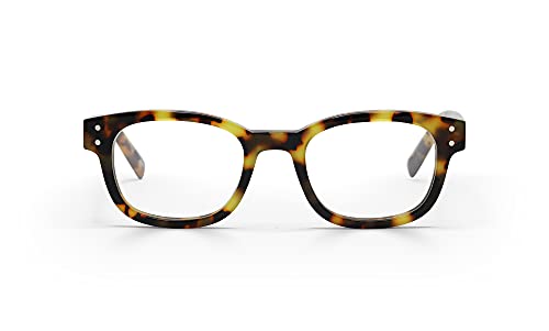 Tortoise Front and Temples