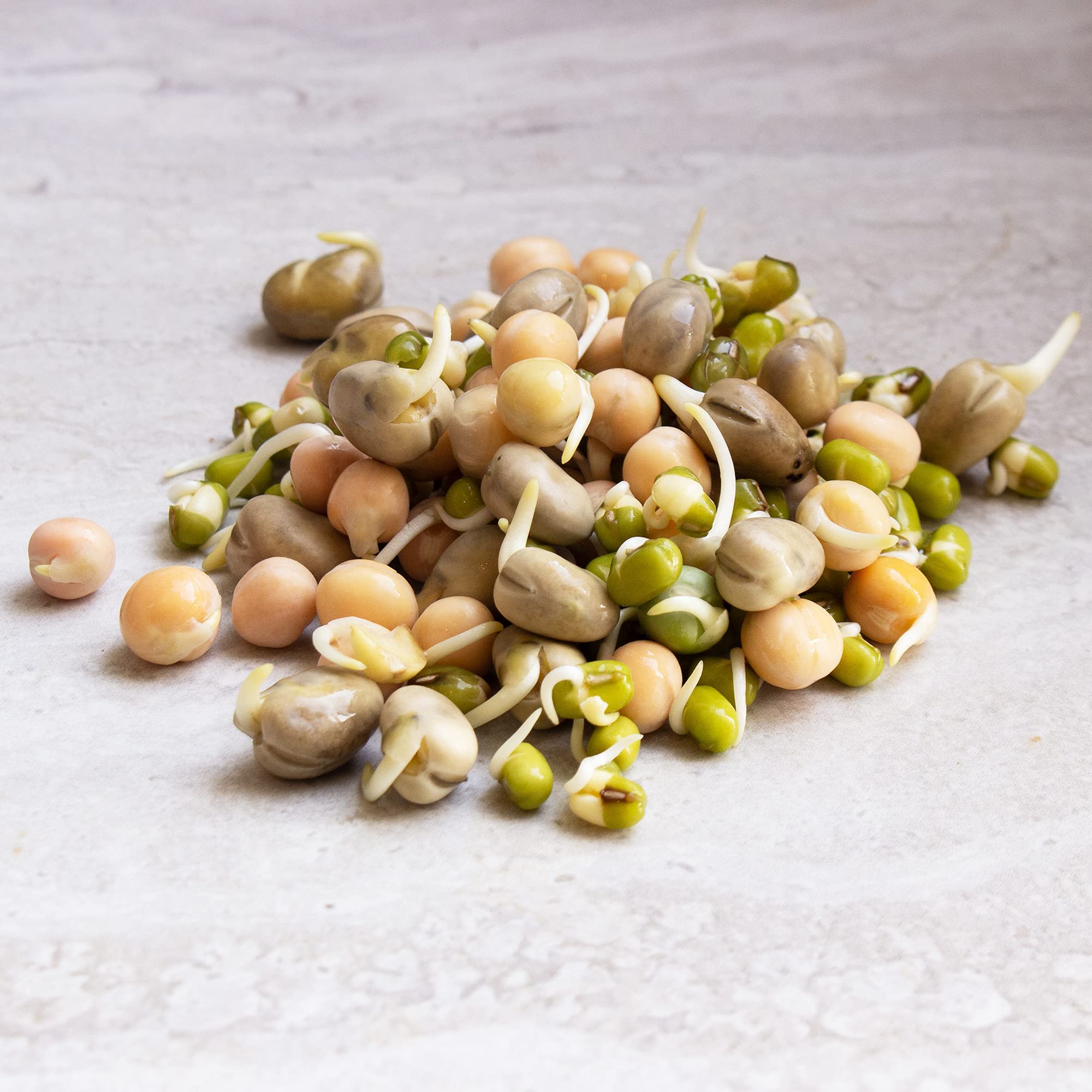 Organic Sprouting Seeds - Handy Pantry Sweet Protein Mix - 35 lb. Bulk Sealed Storage Bucket - Fava Bean, Mung Bean & Yellow Pea Seeds - High Protein Superfood for Daily Health, Emergency Food Storage & Home Gardening