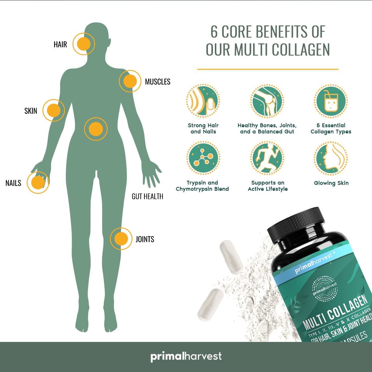 Primal Harvest Super Greens & Multi Collagen Capsules for Women and Men - Organic Superfood Powder with Collagen Peptides for Hair Growth, Skin Health & Nail Strength - Daily Wellness Supplement for Energy & Detox