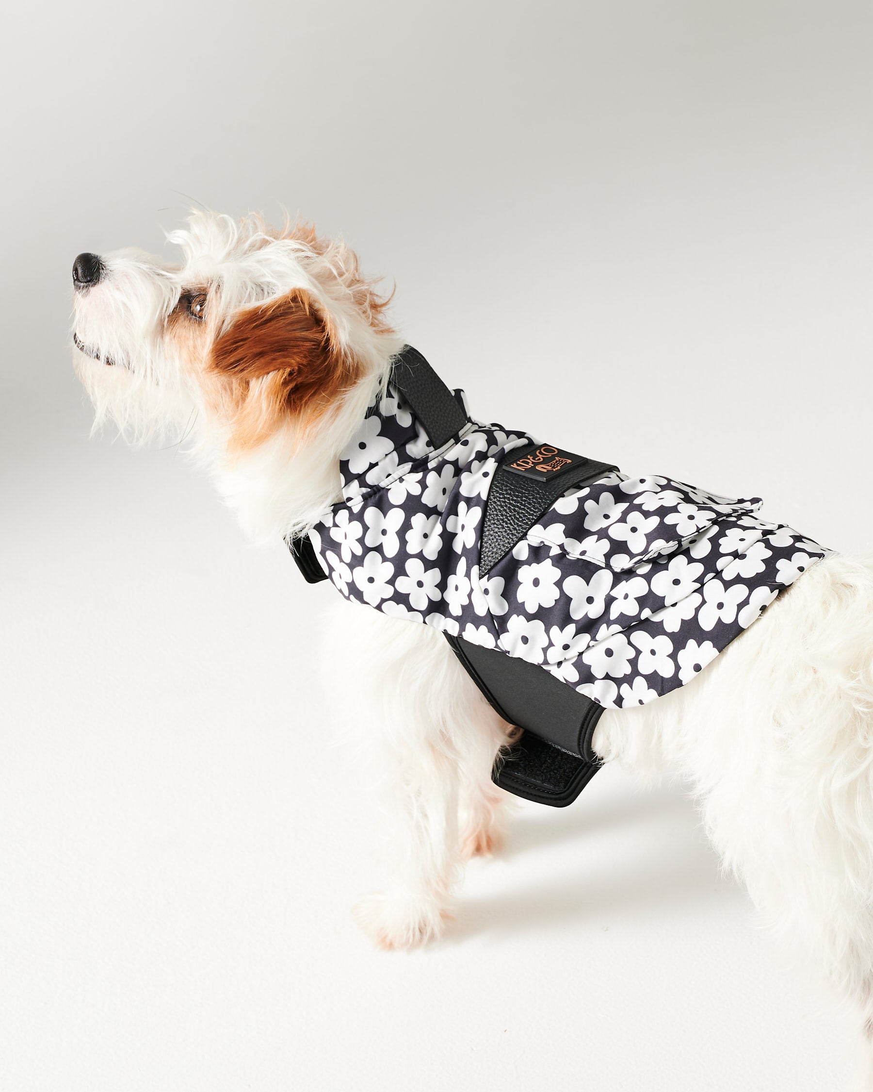 Waterproof Flower Print Dog Jacket - Cute & Stylish Pet Coat for Small to Medium Dogs - Perfect for Outdoor Walks, Park Visits, and Photo Shoots