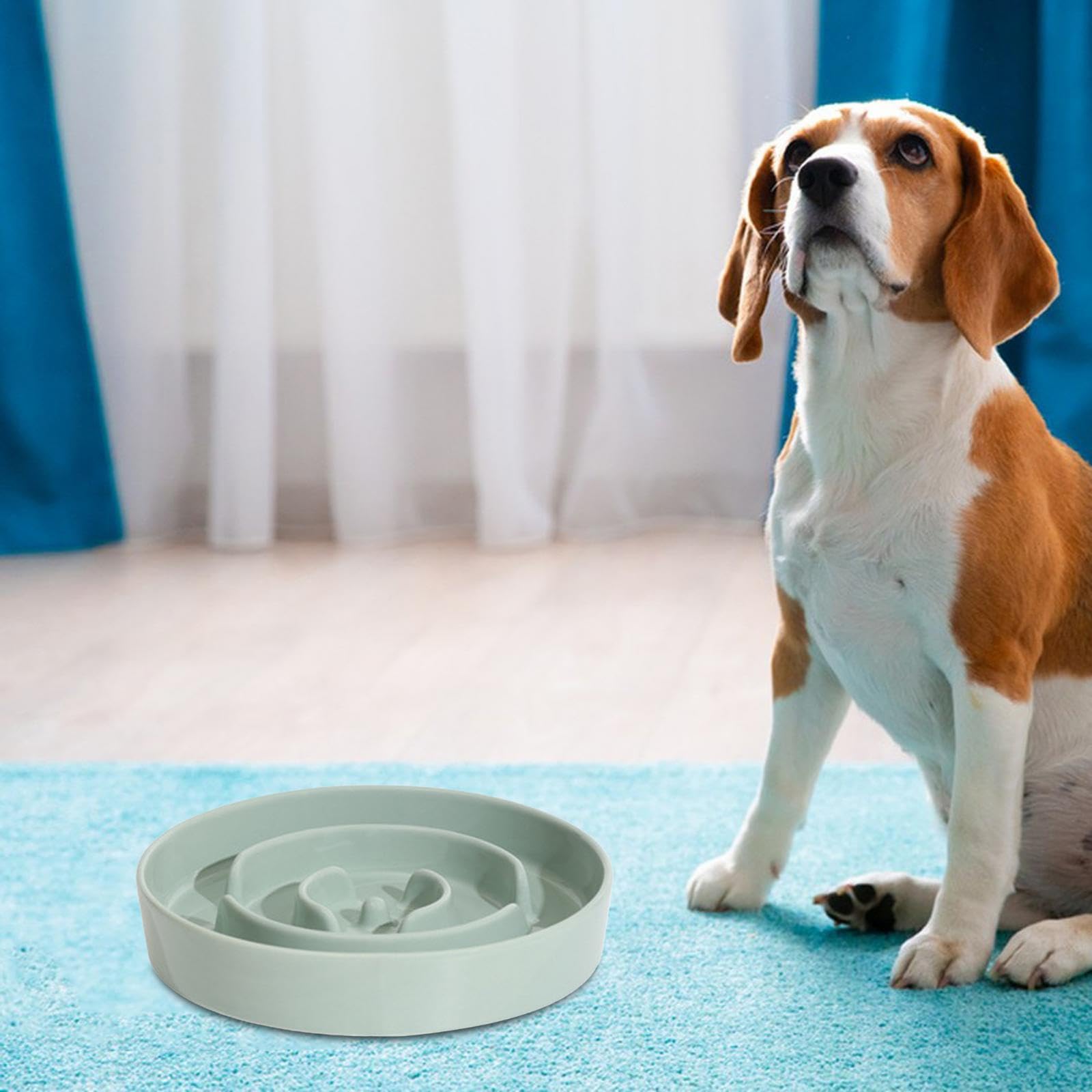 Enakshi Slow Feeder Dog Bowl - Puzzle Food Plate for Dogs & Cats, Anti-Gulping Pet Feeder Dish, Light Green 21cm - Perfect for Fast Eaters, Mealtime Enrichment & Portion Control