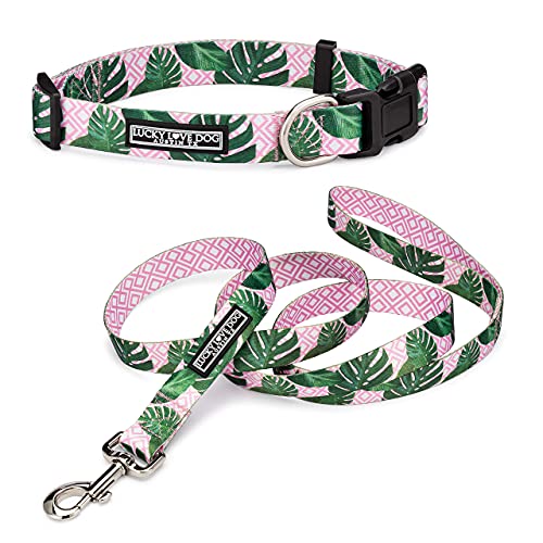 Laguna Collar/Leash Combo