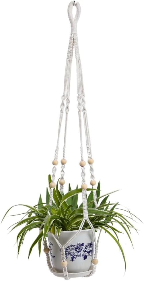 Ivory - Pack of 1