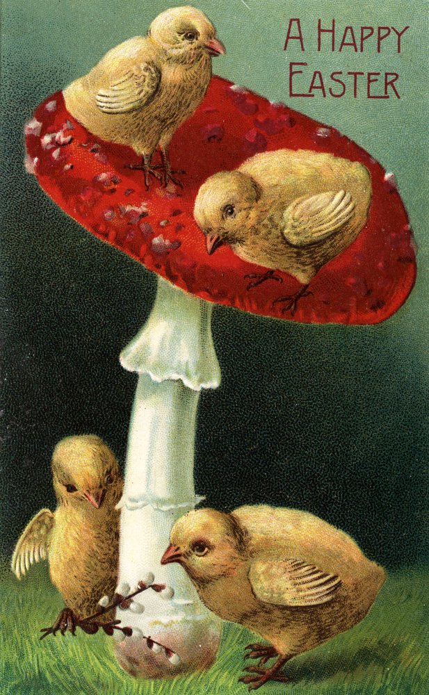 Happy Easter Chicks on Red Mushroom Giclee Art Print - 16x24 Wall Decor Travel Poster for Home, Office & Easter Party Decoration