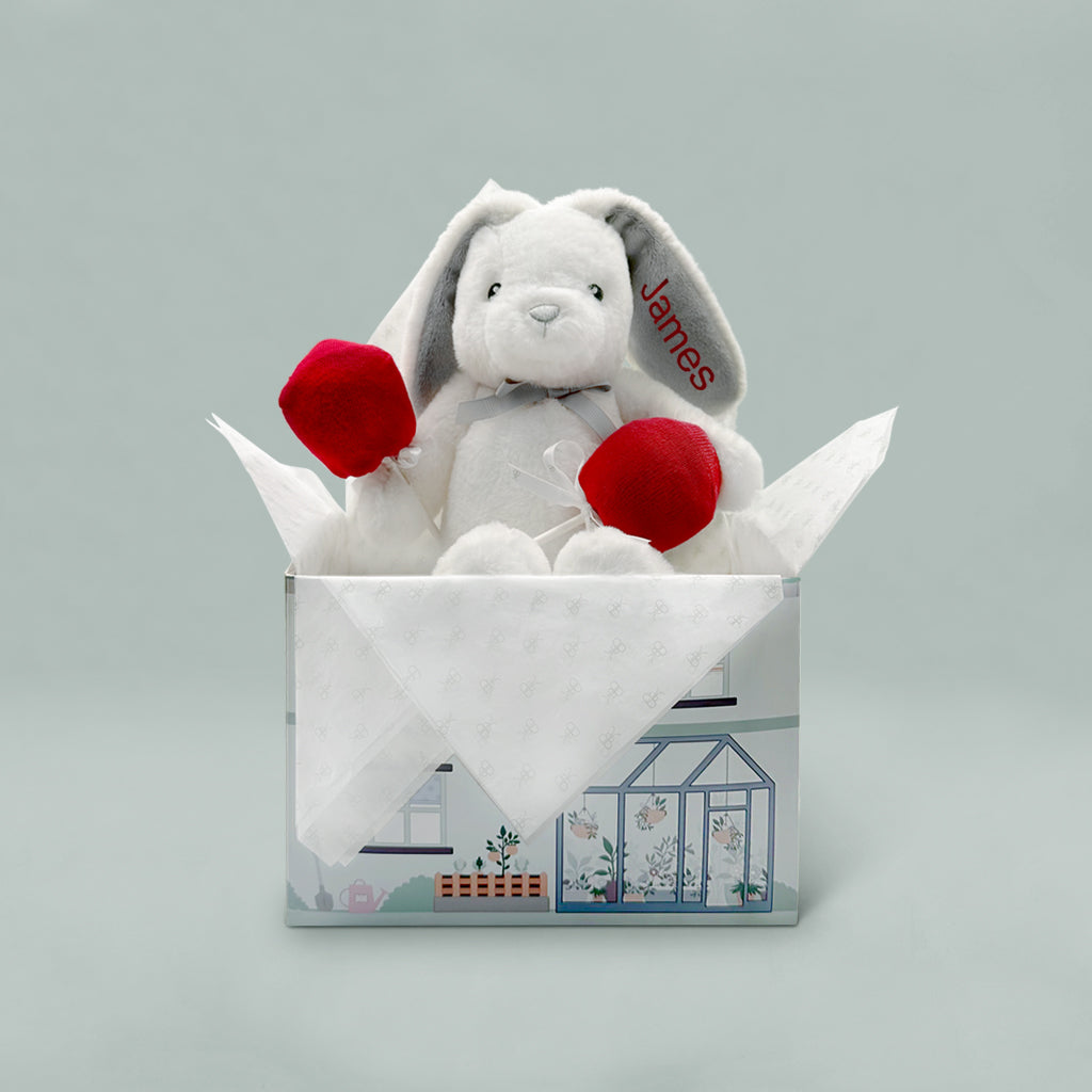 Custom Valentine Bunny with Baby Sock Pops - Perfect Gift for Valentine's Day, Baby Showers & Newborn Celebrations
