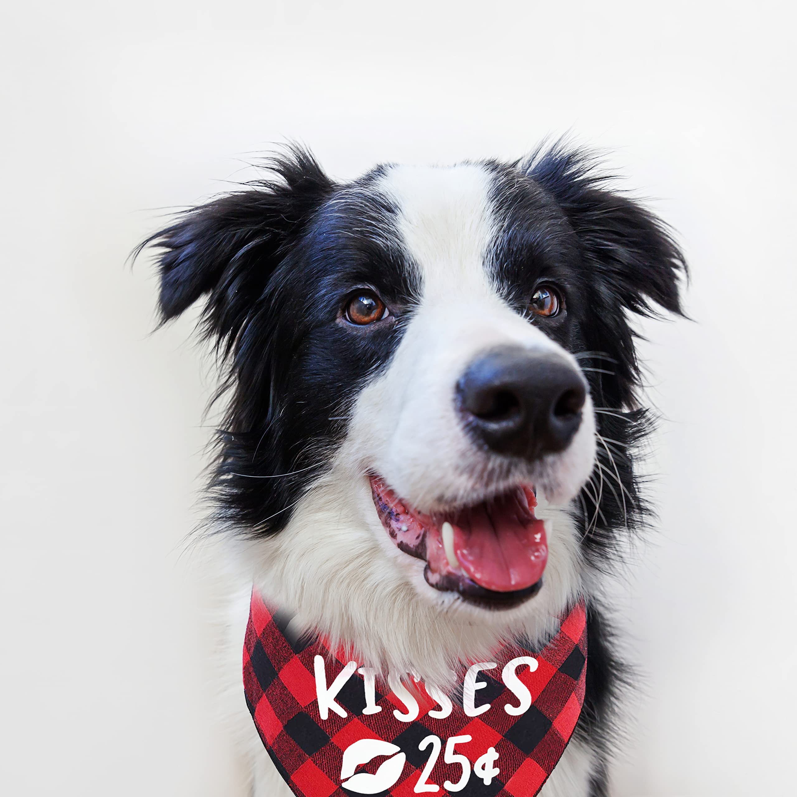 Valentine Dog Bandana for Pets - Red Buffalo Plaid for Holidays & Gifts